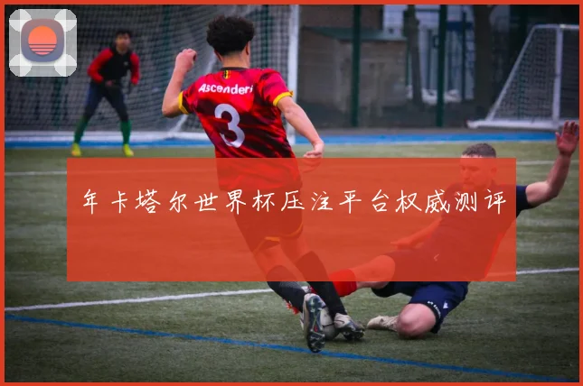 年卡塔尔世界杯压注平台权威测评