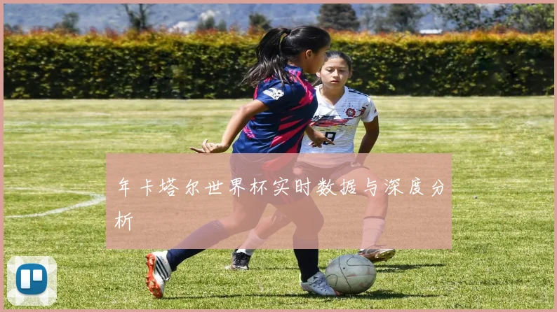 年卡塔尔世界杯实时数据与深度分析