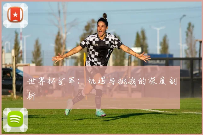 世界杯扩军:机遇与挑战的深度剖析