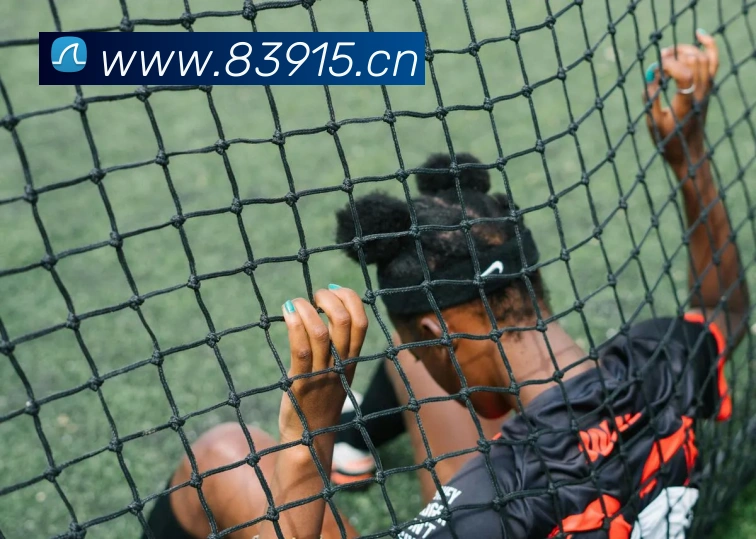 星空电竞官网平台生态图